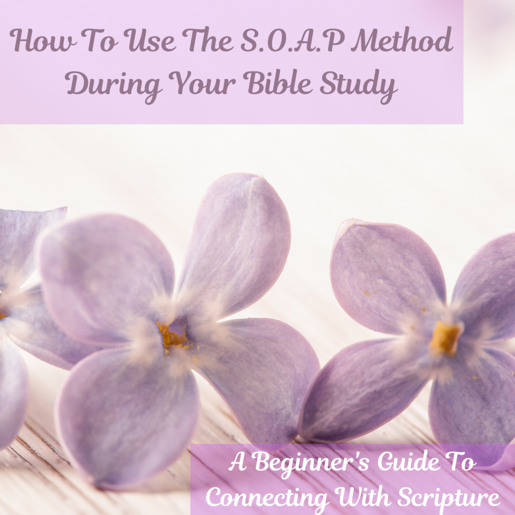 how-to-use-the-s-o-a-p-method-during-your-bible-study