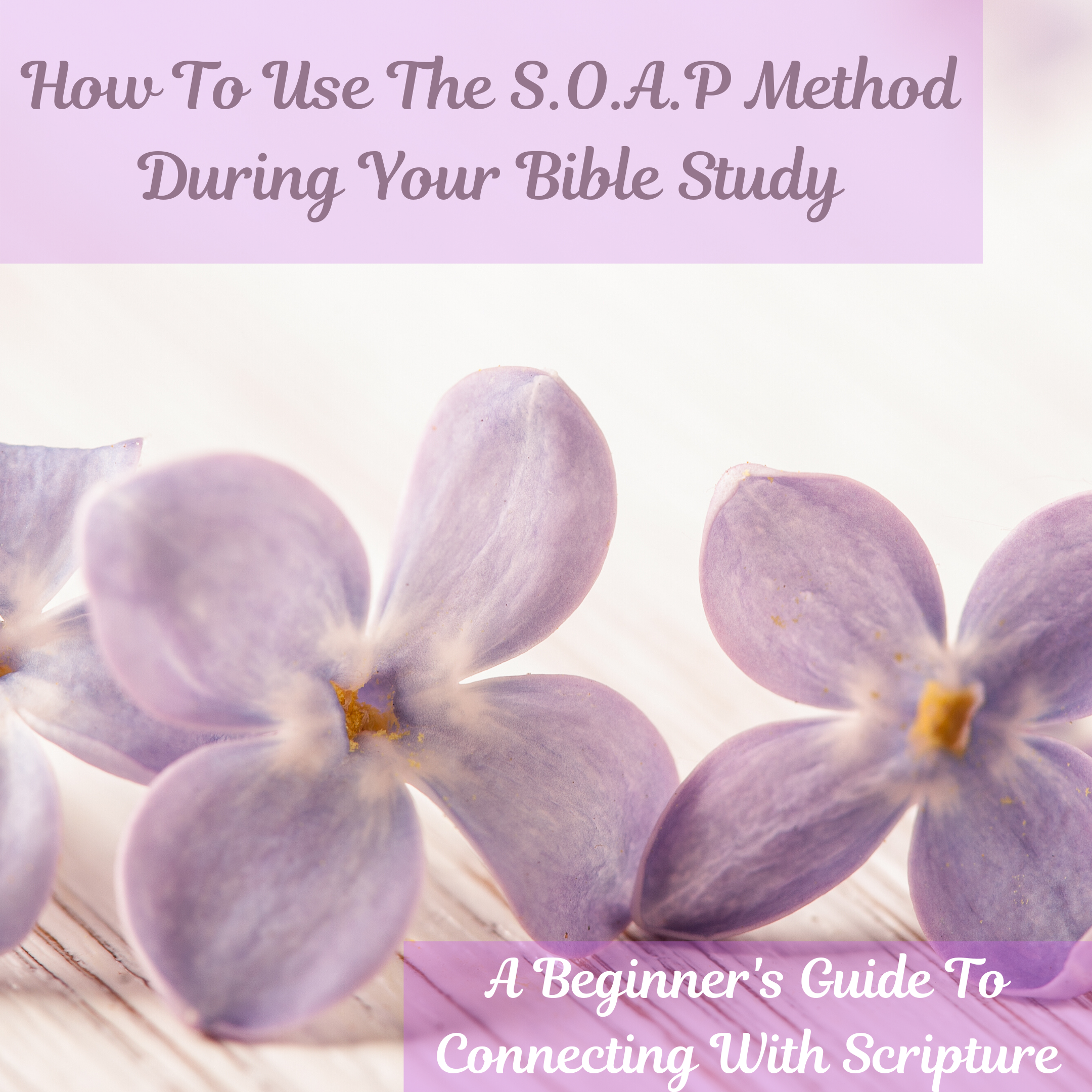 How to Use The S.O.A.P Method During Your Bible Study